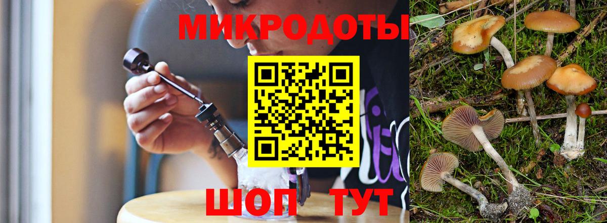 Псилоцибиновые грибы Psilocybine cubensis  Вход с VPN  Выборг 