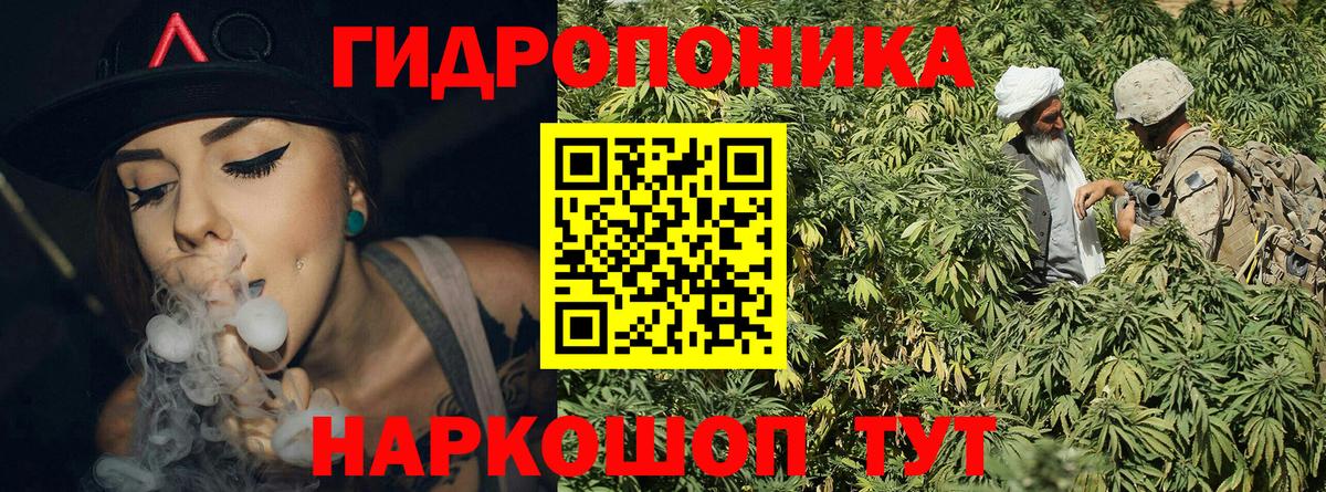Выборг  Шишки марихуана тримм  МАРИХУАНА индика  Вход с VPN  Бошки Шишки MAZAR  Канабис марихуана 